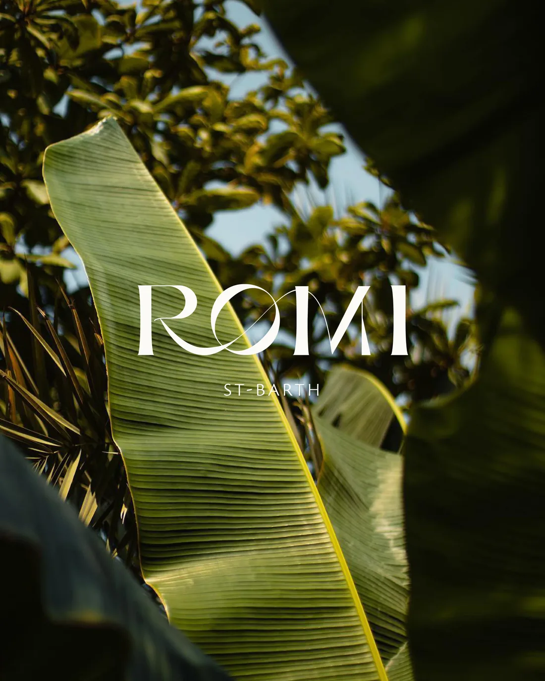 ROMI
