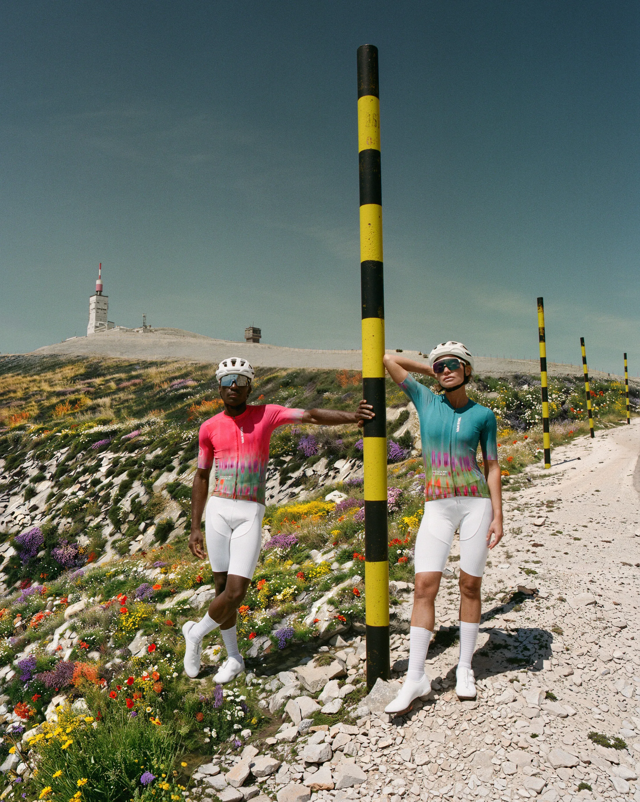 MEADOW MIRAGE — visuel