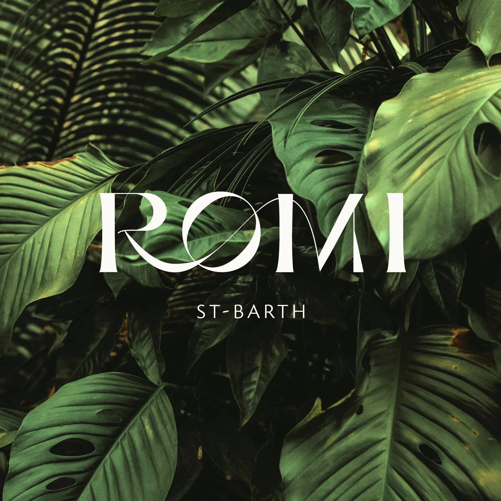 ROMI — visuel